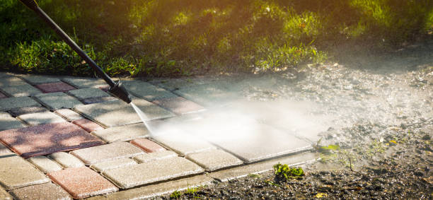 Best Driveway Pressure Washing  in Lake Jackson, TX