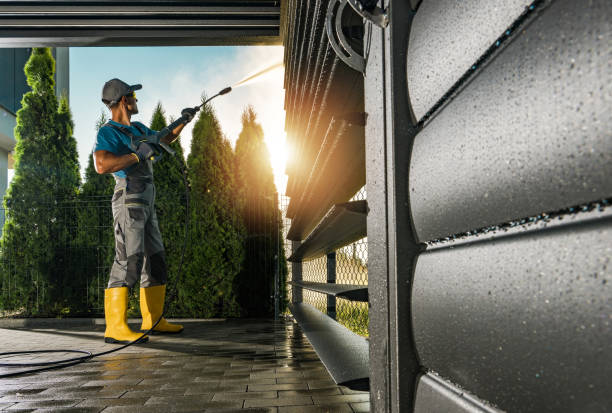 Best Solar Panel Cleaning  in Lake Jackson, TX