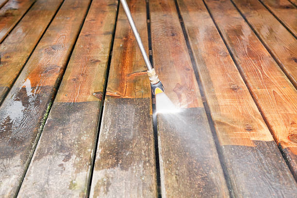 Animal Enclosure Cleaning in Lake Jackson, TX